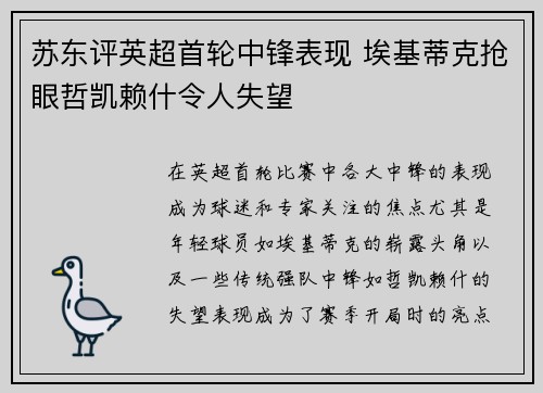 苏东评英超首轮中锋表现 埃基蒂克抢眼哲凯赖什令人失望