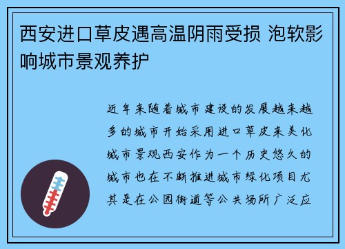 西安进口草皮遇高温阴雨受损 泡软影响城市景观养护
