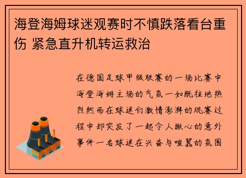 海登海姆球迷观赛时不慎跌落看台重伤 紧急直升机转运救治